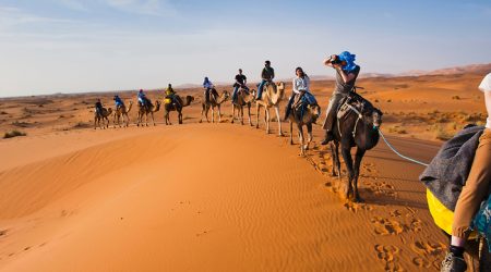 Photo of tourists on a camel ride in Erg Chebbi Desert, Sahara Desert near Merzouga, Morocco, North Africa, Africa. This photo of tourists on a camel ride was taken in Erg Chebbi, the desert with the largest sand dunes in Morocco. Erg Chebbi is Saharan desert and has sand dunes that reach over 150m at the summit. Taking a camel ride into the Erg Chebbi is a bumpy but exciting experience. Do not miss out on an Erg Chebbi desert trip if you visit Morocco!