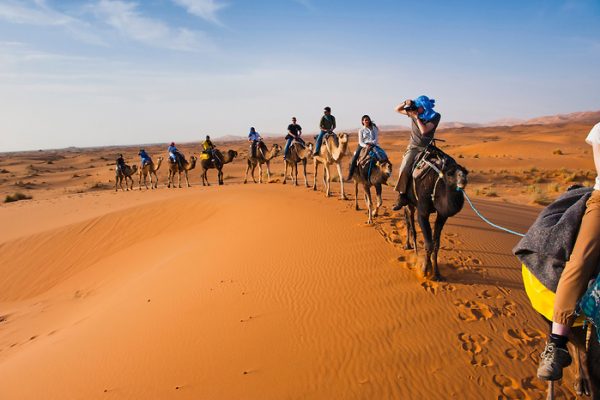 Photo of tourists on a camel ride in Erg Chebbi Desert, Sahara Desert near Merzouga, Morocco, North Africa, Africa. This photo of tourists on a camel ride was taken in Erg Chebbi, the desert with the largest sand dunes in Morocco. Erg Chebbi is Saharan desert and has sand dunes that reach over 150m at the summit. Taking a camel ride into the Erg Chebbi is a bumpy but exciting experience. Do not miss out on an Erg Chebbi desert trip if you visit Morocco!